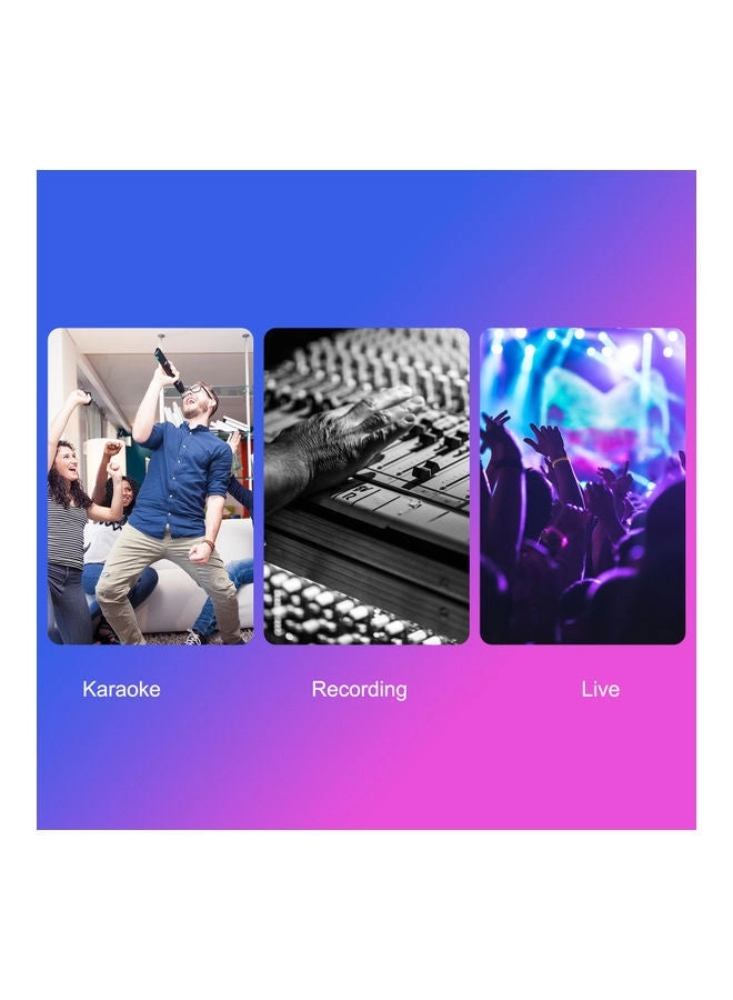 V8 USB+Wireless Microphone