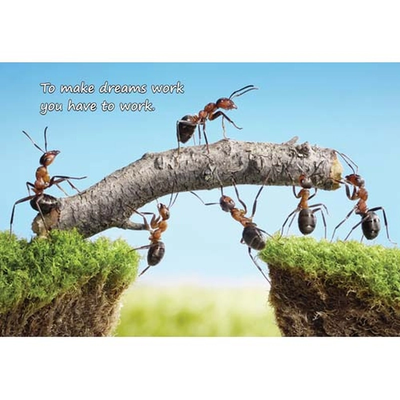 Ajooba Dubai Motivation Puzzle (7642)