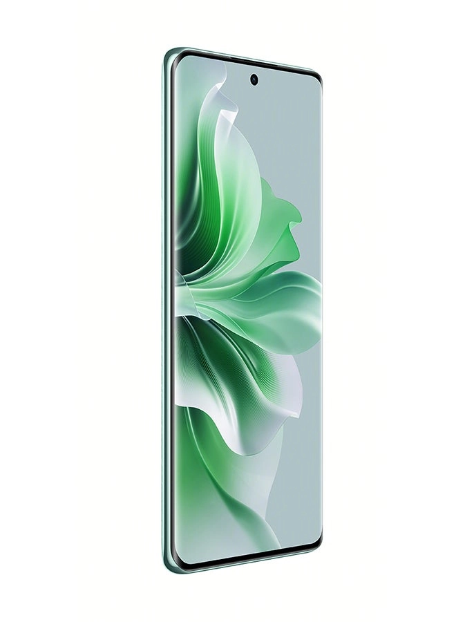 Reno 11 12GB 256GB