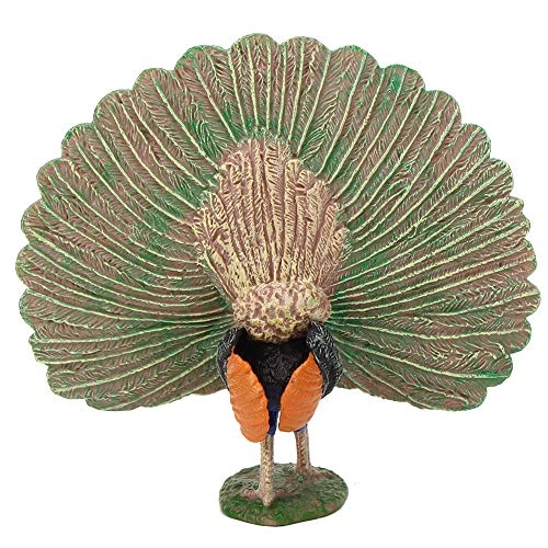 Peacock Model - 18 months - 3 years Peacock 1