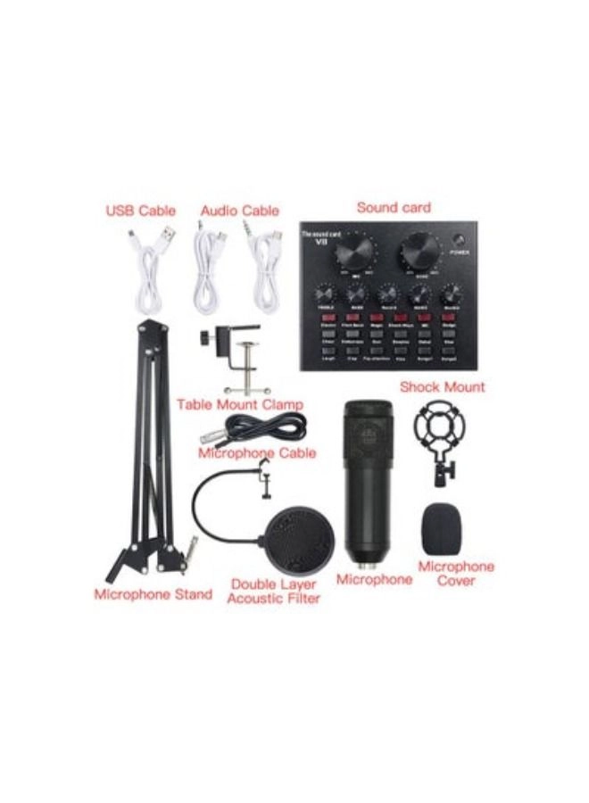 Live Sound Card + Microphone