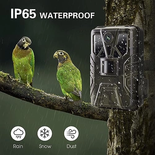 Hunting Camera - 36MP