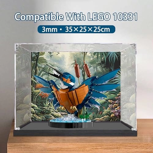 Acrylic Display Case - transparent acrylic