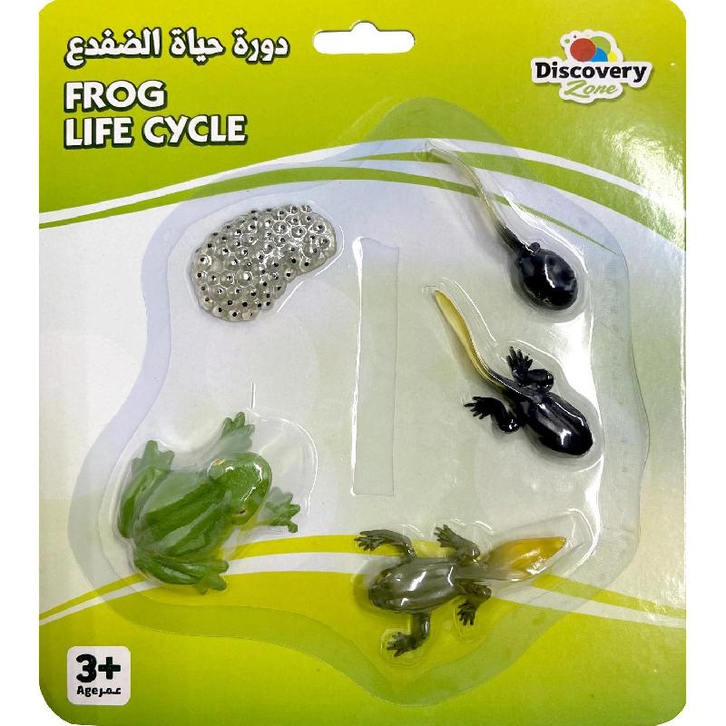 Non Branded Life Cycle of Frog Amphibians - 4 years+ 5 pieces