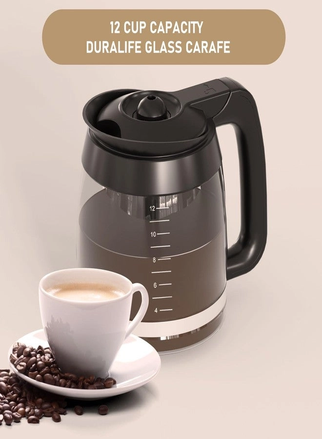 CE200 - 12-Cup