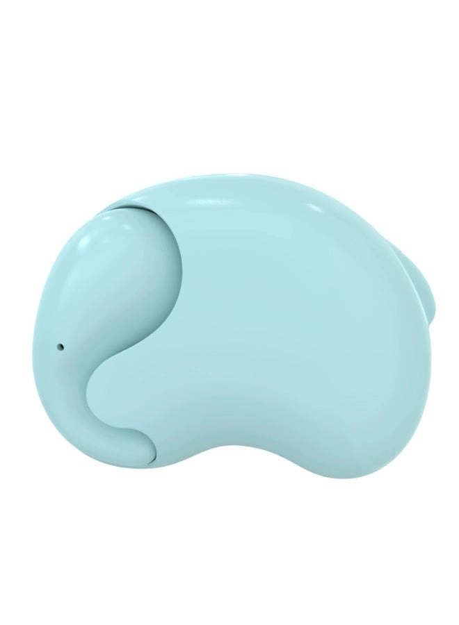 Wireless Bluetooth Earphones