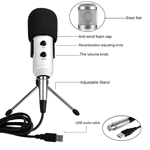 ss1/i47578 USB Microphone