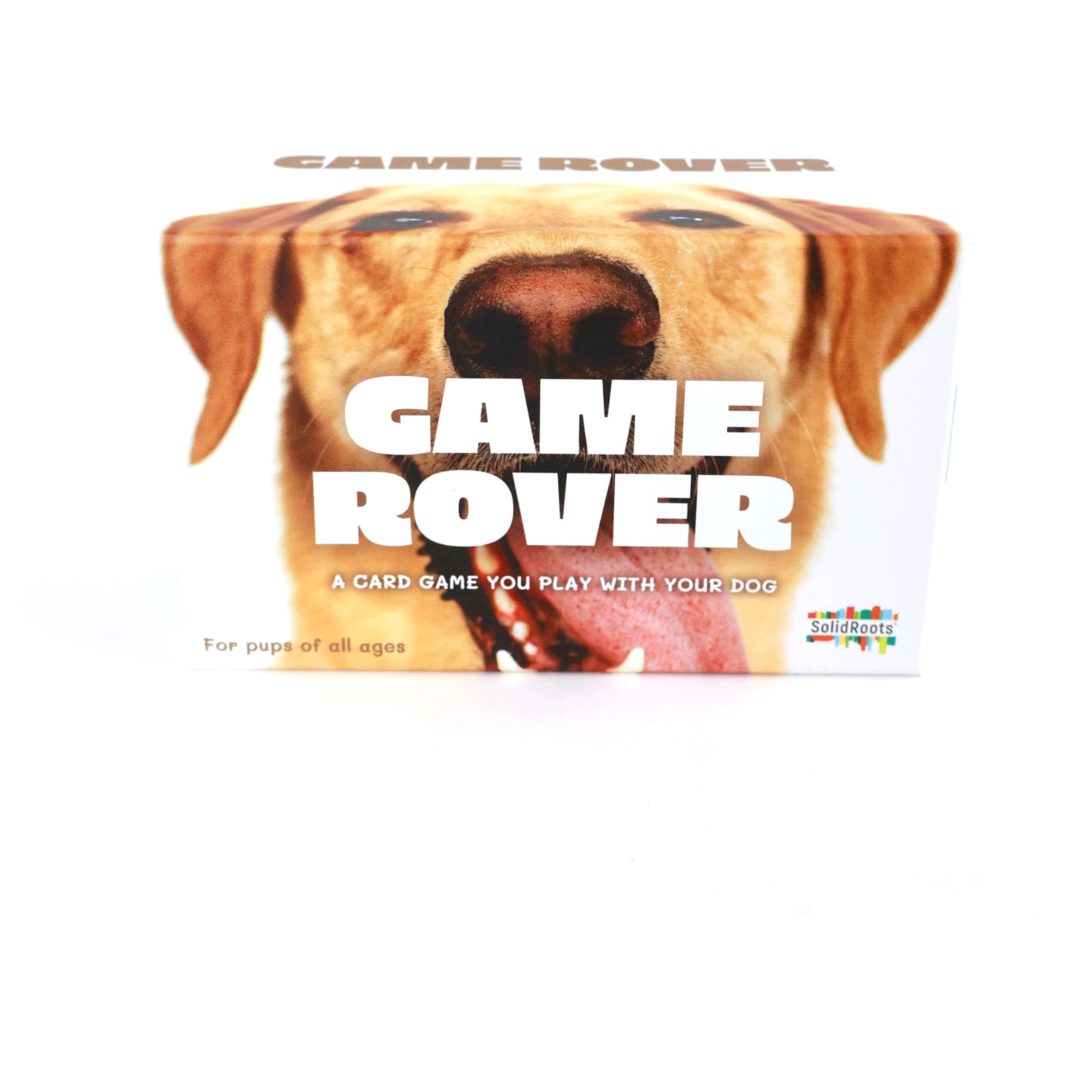 Spin Master Game Rover - 8 years+