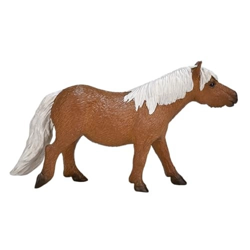 Shetland Pony - 3+ yr(s) (387231)