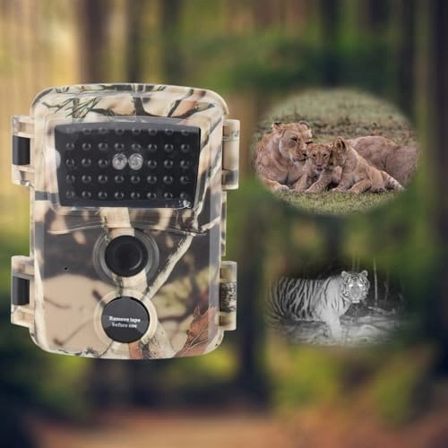 8einu5rhq4-68 - 20MP