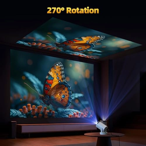 PR08 300 ANSI lumens