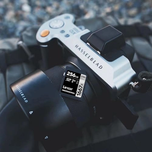 Professional 1667x - 256GB