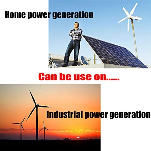 Rice Noodle Steam Machine - Stainless Steel Household