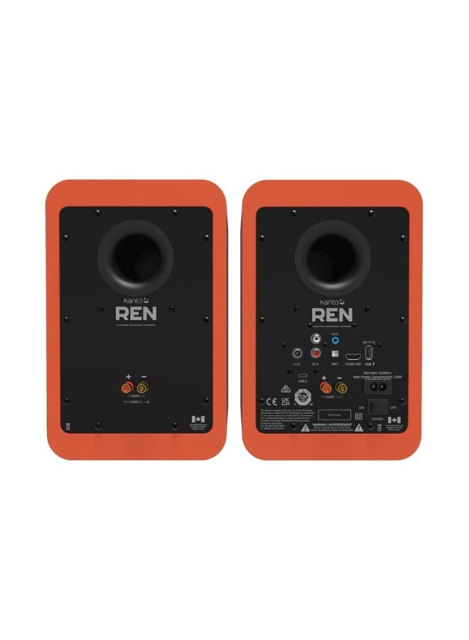 REN - 100 W