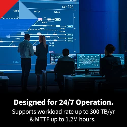 N300 PRO 24-Bay 12TB