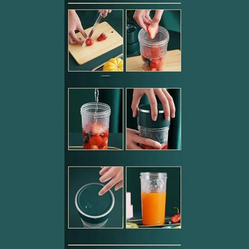 Portable Fruit Juicer - 120W 400mL and below