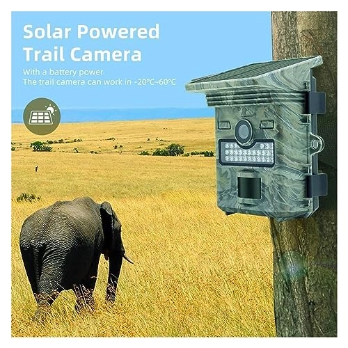 Wildlife Hunting Camera - 5MP