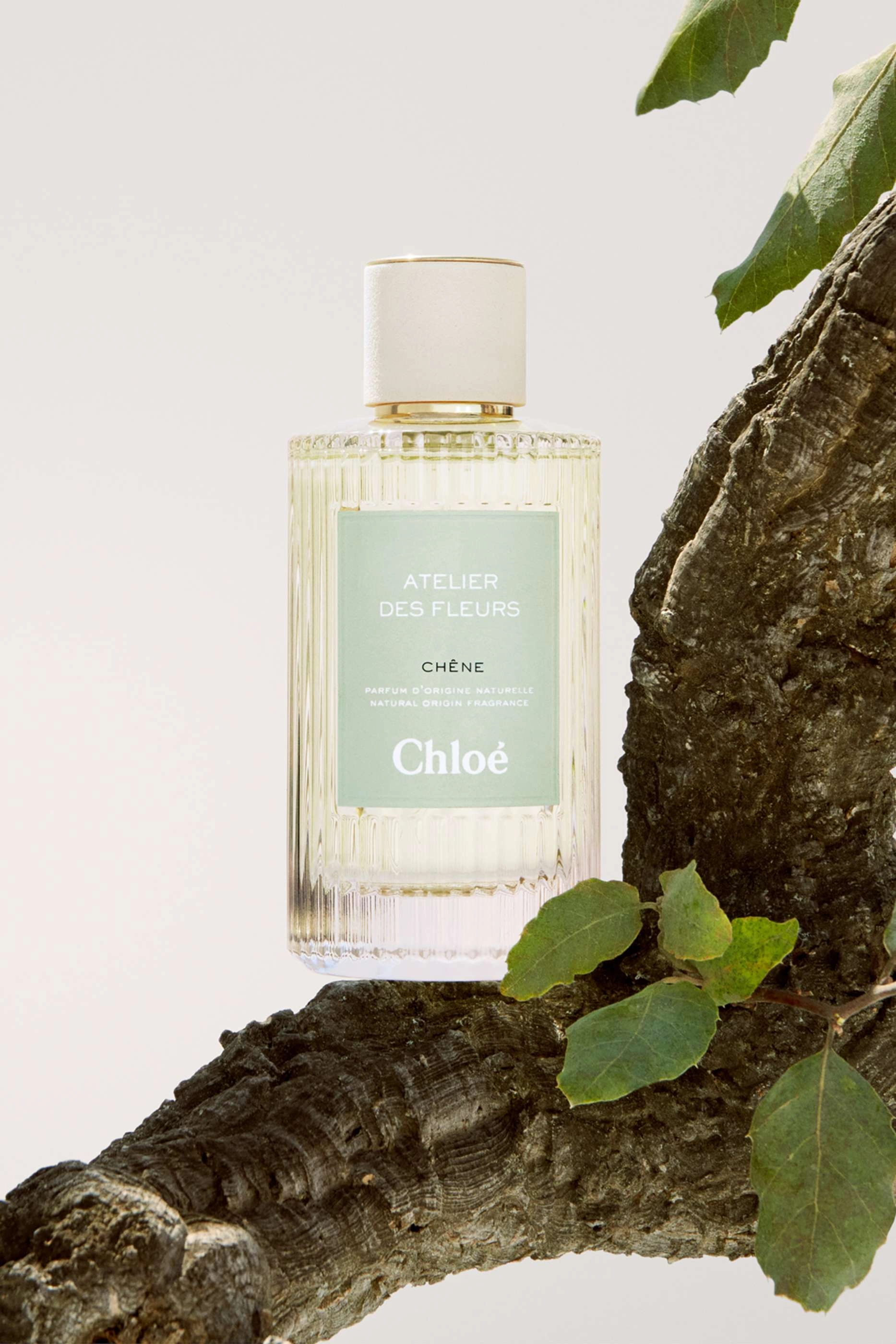 Chêne Eau de Parfum 50ml
