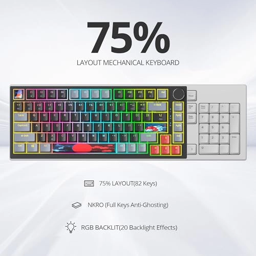 75% TKL Wired Mechanical Keyboard - Wired/Wireless