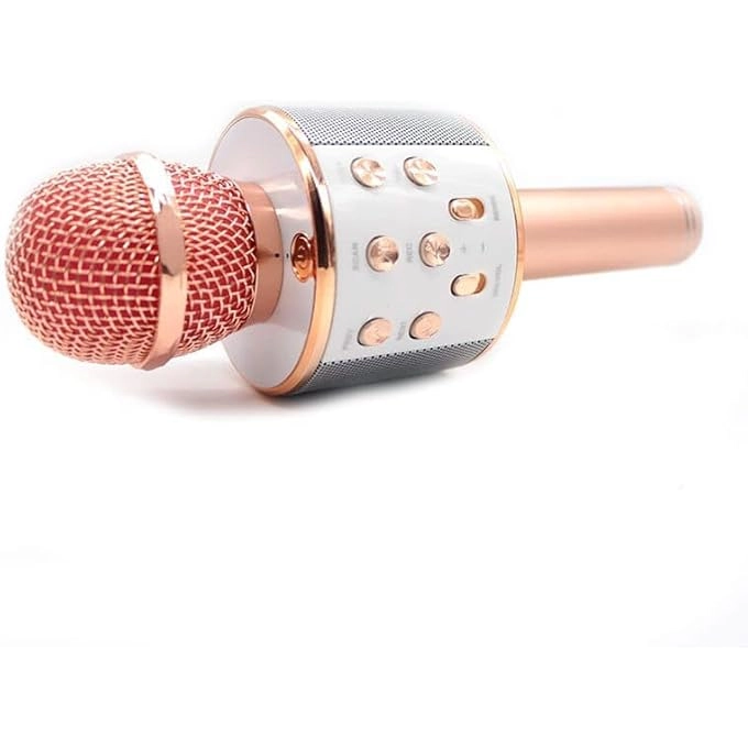 WIRELESS BLUETOOTH MICROPHONE