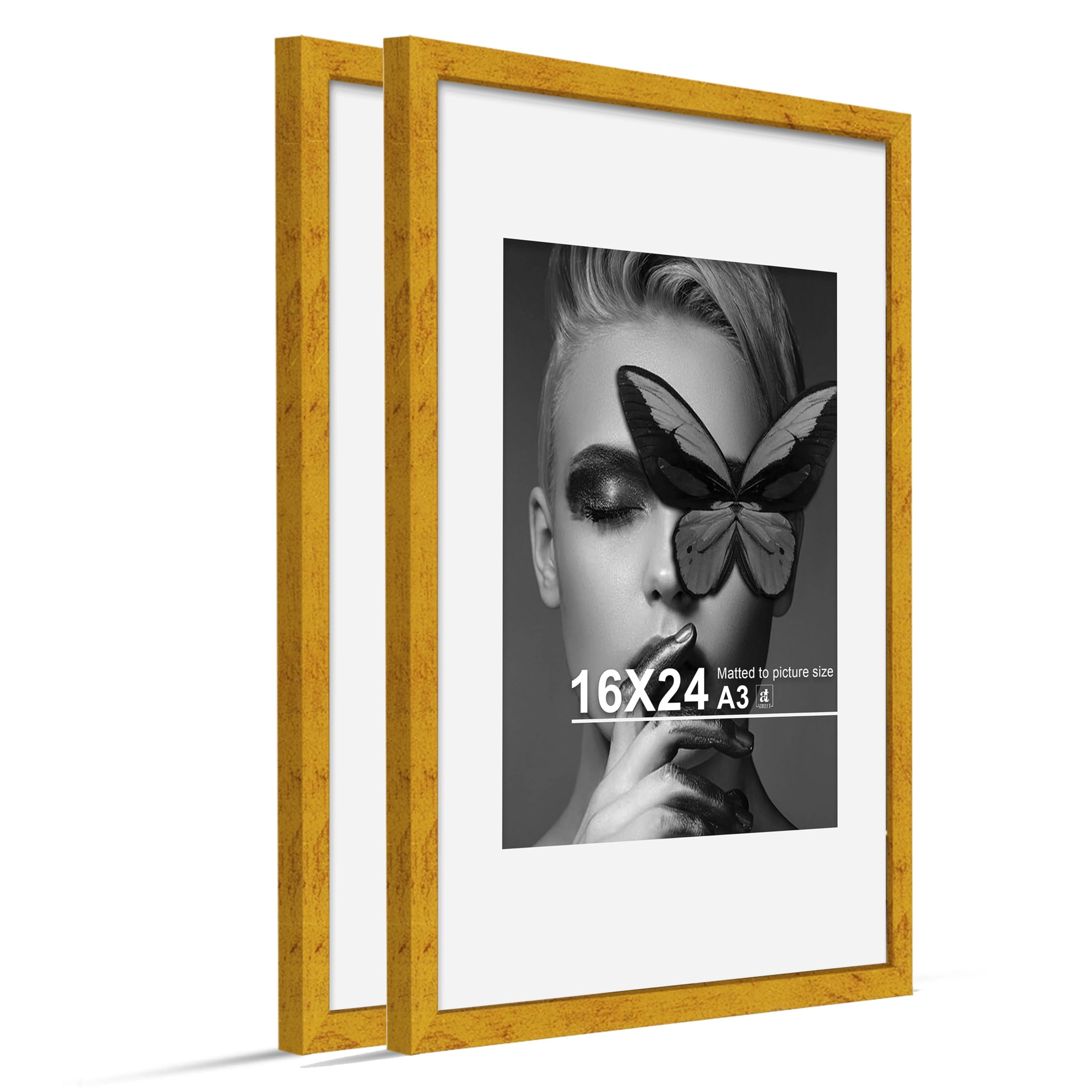Document Frame - 16x24 Inch