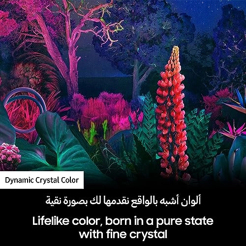 UA65BU8000UXZN - 65 inch