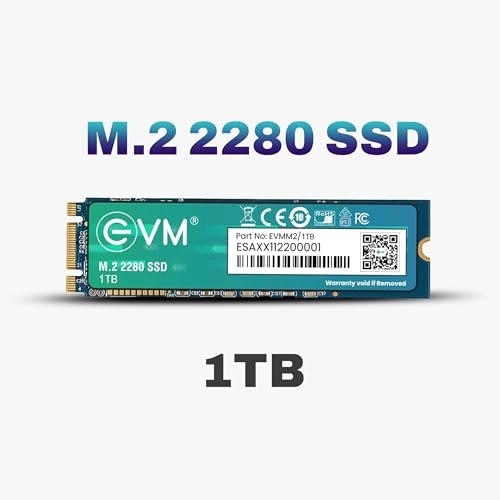 EVMM2 - 1TB 2280