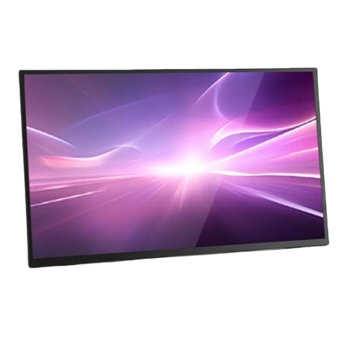 Portable Display - 1080P 18.5 inch