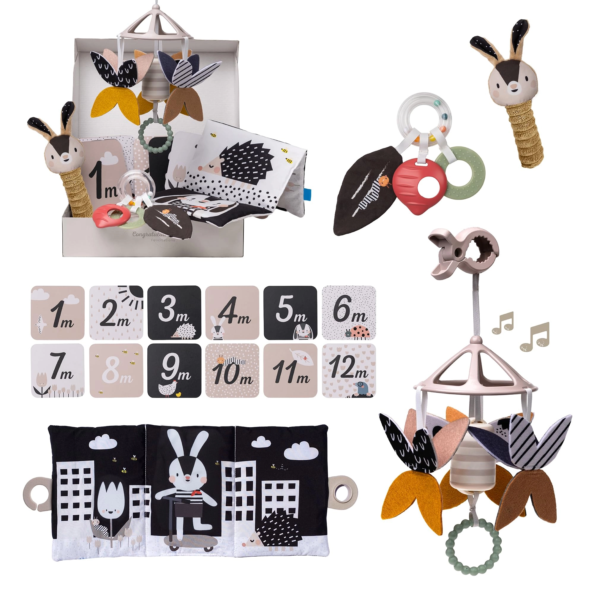 Taf Toys Newborn Kit - 0 Months