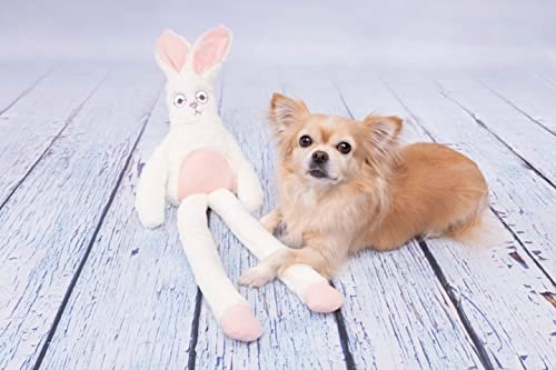 F JP Small Dog Cube Rabbit Love