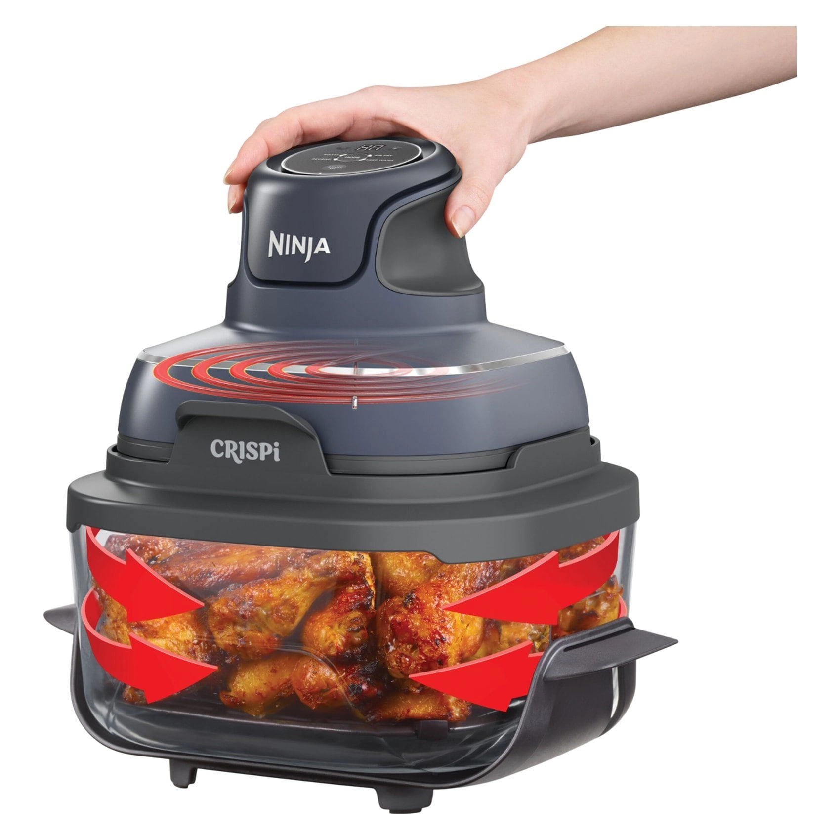CRISPi FN101MEGY
