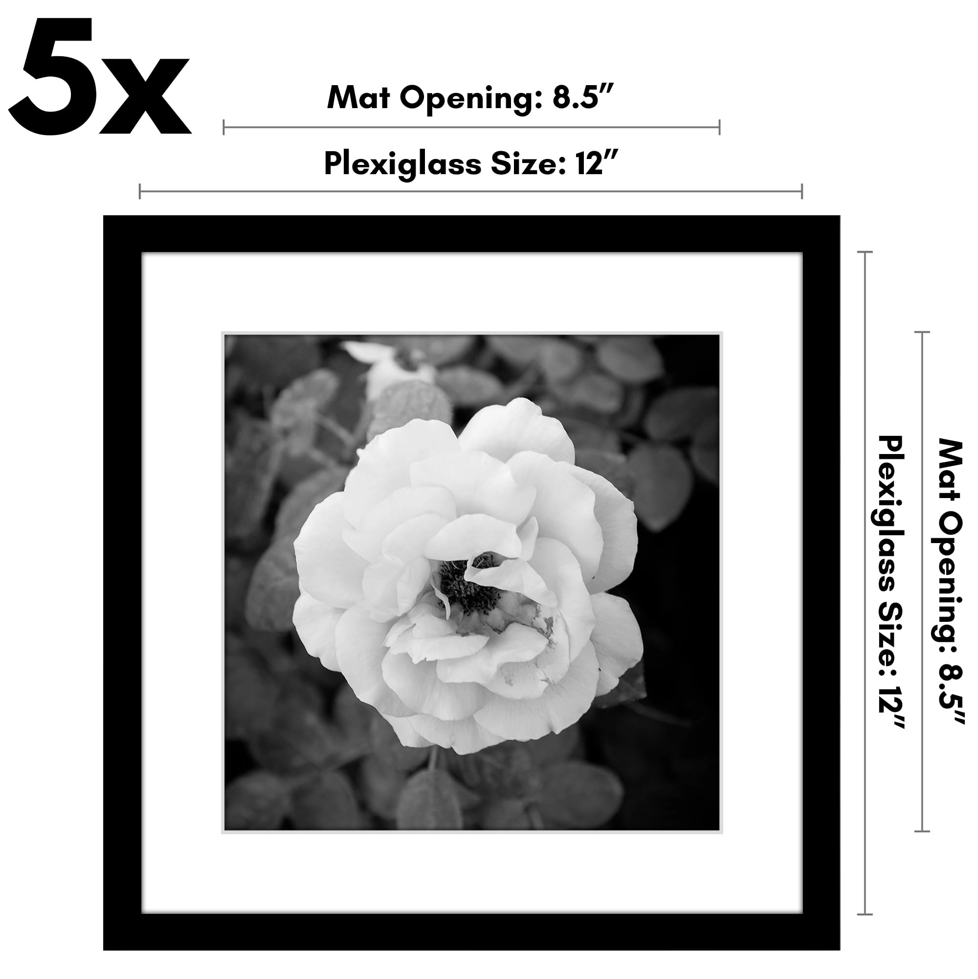 Galleria Collection - 12X12