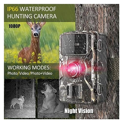 Wildlife Hunting Camera 1080p