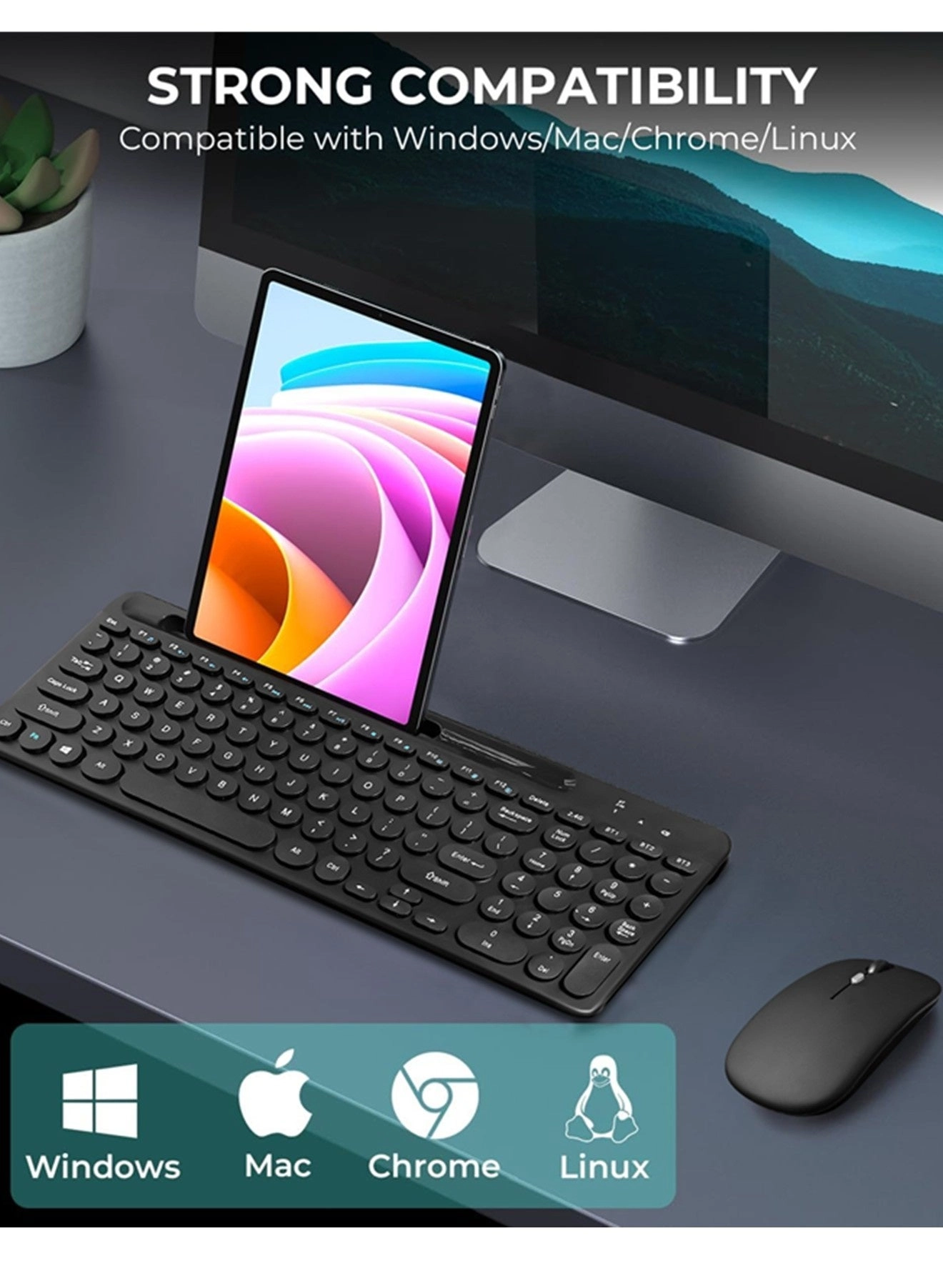 AE501143 - AR/EN Wireless