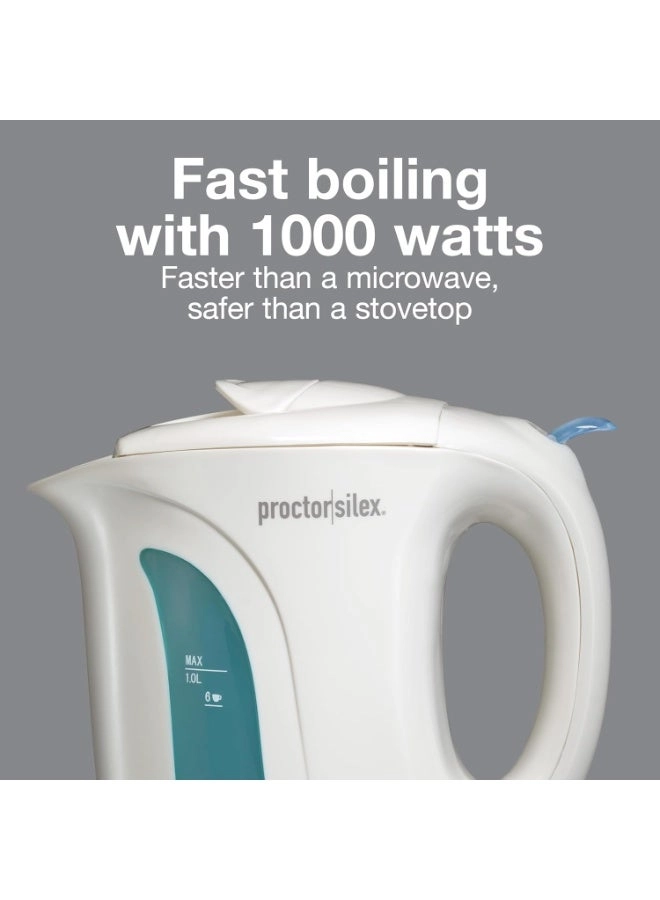 Auto-Shutoff Boil-Dry Protection Electric Kettle