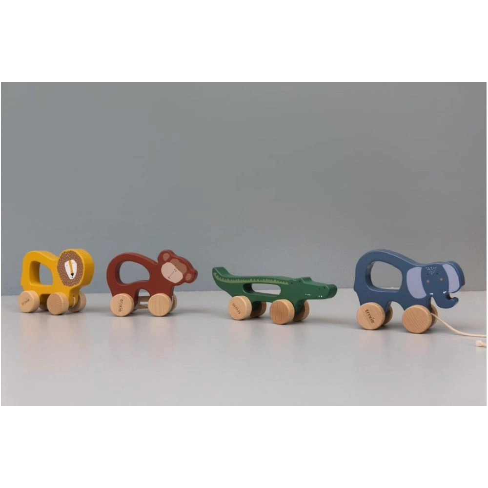 Wooden Pull Along Toy - Mr. Crocodile