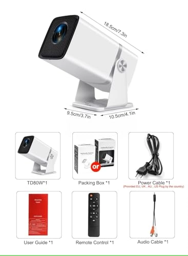 TD80W 450 Ansi Lumens
