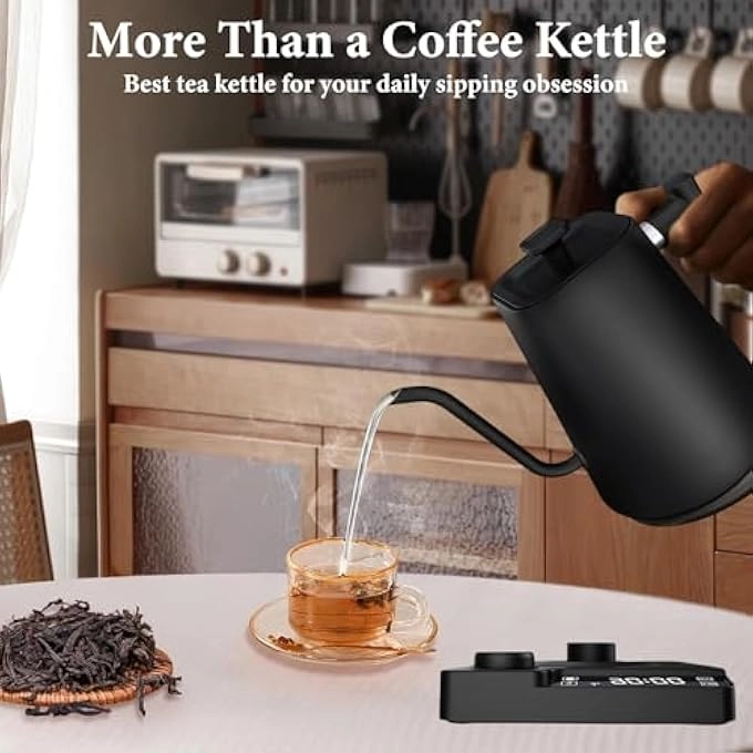 Gooseneck Temperature Control Electric Kettle