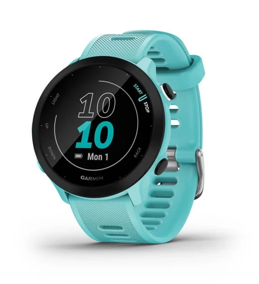 Garmin Forerunner 55 42mm Glass GPS