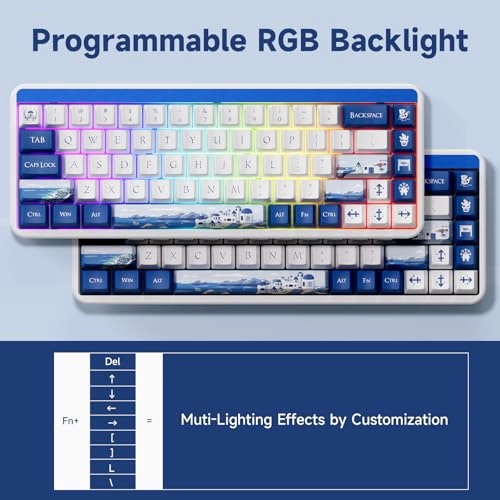 JIN01 - Wired/Wireless