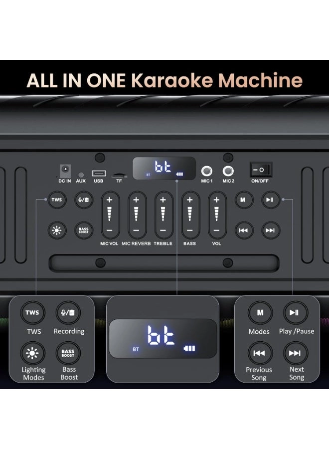 Karaoke machine - 2 wireless microphone