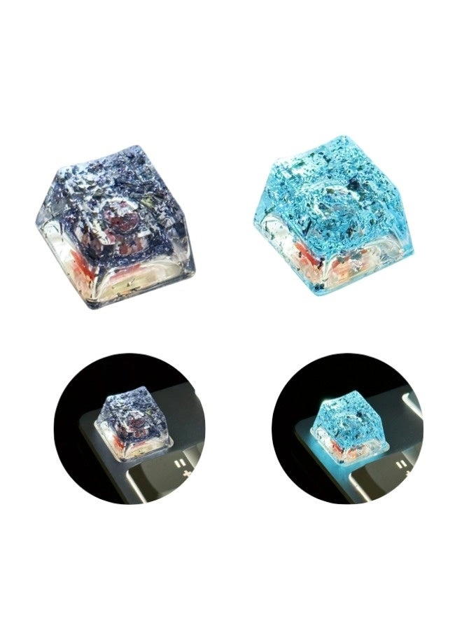 ShebSheb Crystal Style Resin Key Cap - 2PCS 12mm Black＆Blue