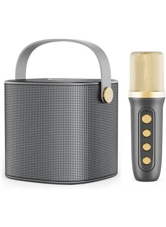 Portable karaoke speaker