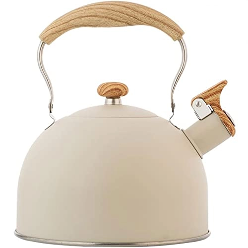 Kettle - Stainless Steel Auburn