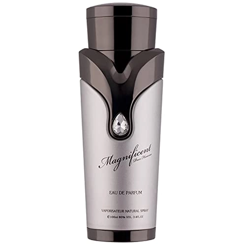 Magnificent Pour Homme - Eau de Parfum 100ml