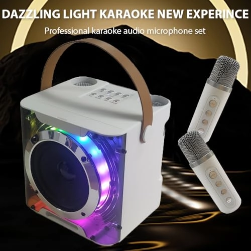Karaoke Machine - 2 15W