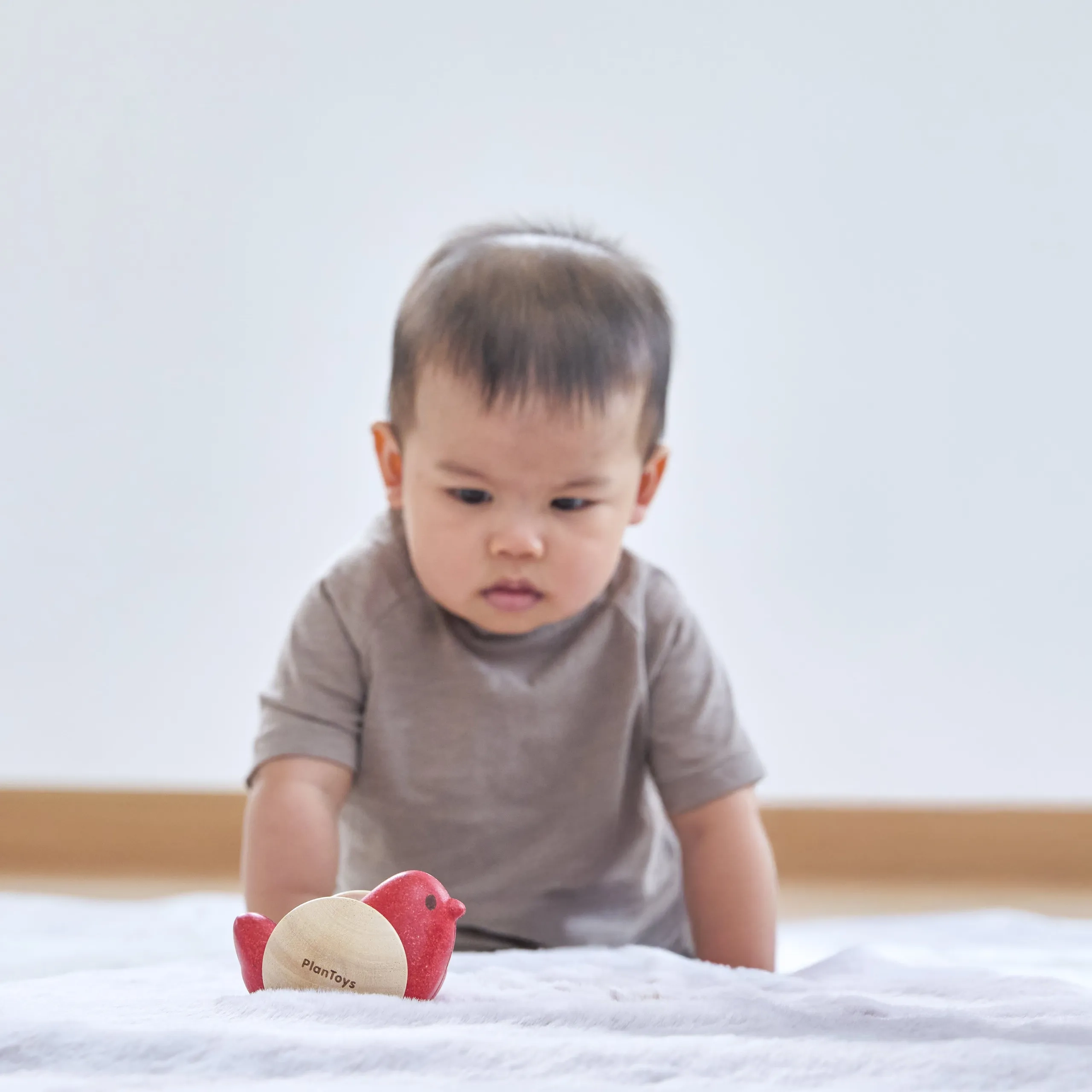Wooden Bird Roller Toy - Suitable for 6 months & above