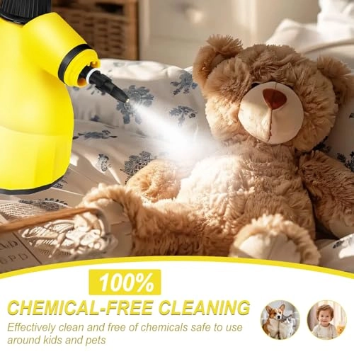 Hand Held Steam Cleaner