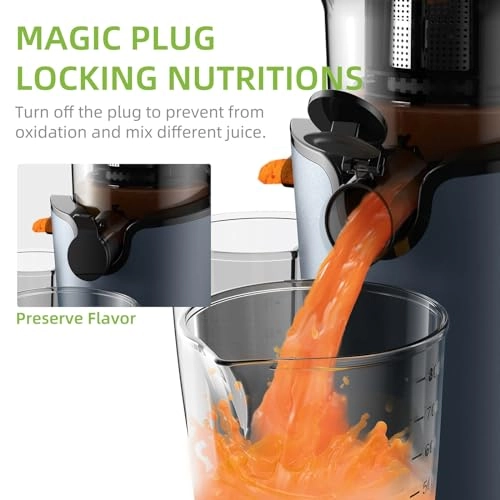 Masticating Juicer - 200W