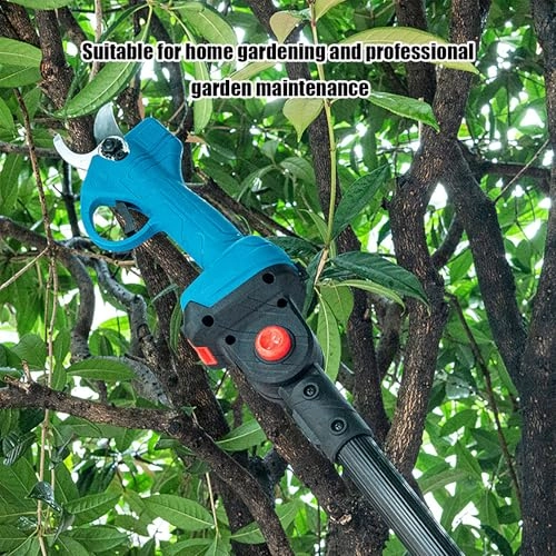 Chainsaw and Pruner Shear